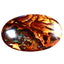 8.42 ct Oval Cabochon(19.96 x 12.54mm) Natural Australian Boulder Opal