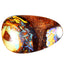 24.19 ct Pear Cabochon (25.52 x 16.32mm) Natural Australian Boulder Opal