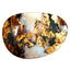 3.82 ct Fancy Cabochon(12.64 x 8.90mm) Natural Australian Boulder Opal
