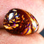 3.00 ct Fancy Cabochon(11.26 x 8.15mm) Natural Australian Boulder Opal