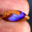 2.12 ct Fancy Cabochon(14.21 x 5.54mm) Natural Australian Boulder Opal