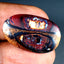 10.41 ct Oval Cabochon (24.81 x 15.21mm) Natural Australian Boulder Opal