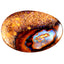 8.35 ct Oval Cabochon(20.39 x 14.11mm) Natural Australian Boulder Opal