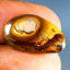 9.52 ct Fancy Cabochon (21.17 x 12.49mm) Natural Australian Boulder Opal