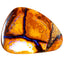 12.89 ct Fancy Cabochon (23.43 x 18.24mm) Australian Koroit Boulder Opal