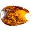 11.73 ct Fancy Cabochon (19.99 x 13.87mm) Australian Koroit Boulder Opal