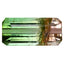 5.58 ct Octagon (14.98 x 7.01 mm) Mozambique Natural Bi Color Tourmaline