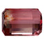 3.87 ct Octagon (10.04 x 7.05 mm) Mozambique Natural Bi Color Tourmaline