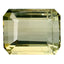 1.75 ct Octagon (8.23 x 6.39 mm) Mozambique Natural Bi Color Tourmaline