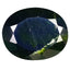 9.59 ct Oval (15.16 x 12.13 mm) Unheated Natural Green Chrome Diopside