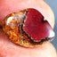 6.54 ct Impressive Fancy (17.62 x 12.73mm) Natural Australian Boulder Opal