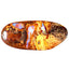 4.38 ct Fancy (20.00 x 8.99mm) Natural Australian Koroit Boulder Opal