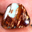 4.67 ct Terrific Fancy (12.24 x 11.82mm) Natural Australian Boulder Opal