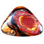 7.09 ct Beautiful Fancy (19.95 x 14.66mm) Natural Australian Boulder Opal