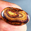 11.21 ct Beautiful Fancy (25.17 x 14.90mm) Natural Australian Boulder Opal