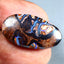 12.91 ct Fancy (24.28 x 13.15mm) Natural Australian Koroit Boulder Opal