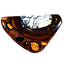 11.03 ct Sparkling Fancy (21.21 x 13.44mm) Natural Australian Boulder Opal