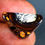 11.03 ct Sparkling Fancy (21.21 x 13.44mm) Natural Australian Boulder Opal