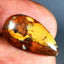 8.61 ct Splendid Fancy (20.46 x 10.89mm) Natural Australian Boulder Opal