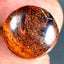 5.84 ct Phenomenal Fancy (14.18 x 13.39mm) Natural Australian Boulder Opal