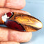 41.74 ct Fancy (43.81 x 18.32mm) Natural Australian Koroit Boulder Opal