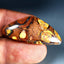 23.21 ct Fancy (35.59 x 16.02mm) Natural Australian Koroit Boulder Opal