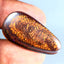 27.63 ct Fancy (32.37 x 17.30mm) Natural Australian Koroit Boulder Opal