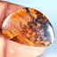 18.49 ct Fancy (32.17 x 21.57mm) Natural Australian Koroit Boulder Opal