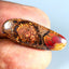 11.51 ct Wonderful Fancy (27.96 x 10.84mm) Natural Australian Boulder Opal