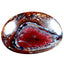 50.47 ct Wonderful Fancy (31.97 x 22.36mm) Natural Australian Boulder Opal