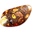 34.35 ct Fancy (38.69 x 20.92mm) Natural Australian Koroit Boulder Opal
