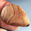 21.29 ct Incredible Fancy (36.67x24.20mm) Natural Australian Boulder Opal