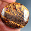 38.19 ct Fancy (24.79 x 24.43mm) Natural Australian Koroit Boulder Opal