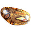 36.82 ct Beautiful Fancy (31.83 x 18.21mm) Australian Koroit Boulder Opal