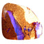 9.77 ct Stunning Fancy (17.65 x 15.71mm) Natural Australian Boulder Opal