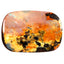 10.65 ct Exquisite Fancy (20.91 x 14.45mm) Natural Australian Boulder Opal