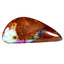 6.34 ct Spectacular Fancy (19.20 x 8.30mm) Natural Australian Boulder Opal