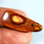22.25 ct Fancy (31.66 x 12.54mm) Natural Australian Koroit Boulder Opal
