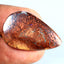 19.24 ct Fancy (31.39 x 19.53mm) Natural Australian Koroit Boulder Opal