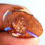10.18 ct Fantastic Fancy (24.99 x 16.70mm) Natural Australian Boulder Opal