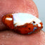 2.81 ct Fancy (14.24 x 7.23mm) Natural Australian Boulder Opal