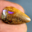 8.17 ct Fancy (22.79 x 13.45mm) Natural Australian Koroit Boulder Opal