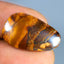 15.15 ct Fancy (23.55 x 14.63mm) Natural Australian Koroit Boulder Opal