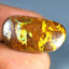 11.69 ct Incredible Fancy (25.20 x 13.79mm) Natural Australian Boulder Opal