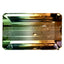 8.03 ct Octagon (14.57 x 9.03 mm) Unheated Mozambique Bi-Color Tourmaline