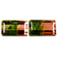 12.63 ct(2pcs) MATCHING PAIR Octagon (13.47x8.15 mm) Watermelon Tourmaline