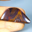 26.27 ct Cabochon (36.49 x 18.01mm) Natural Australian Koroit Boulder Opal