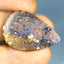 27.78 ct Cabochon (33.17 x 22.16mm) Natural Australian Koroit Boulder Opal