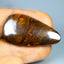 31.00 ct RARE! Cabochon (33.88 x 19.13mm) Australian Koroit Boulder Opal