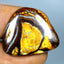 24.75 ct Cabochon (26.42 x 24.62mm) Natural Australian Koroit Boulder Opal